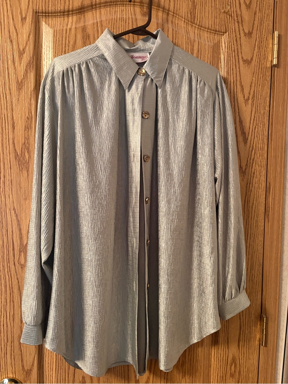 Anna Silver Textured Button-Front Blouse - shimmery